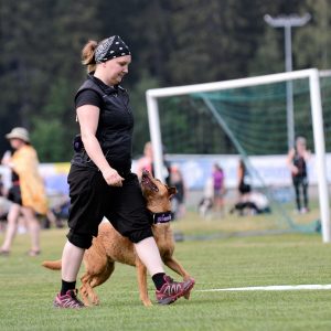 Sujuva seuraaminen